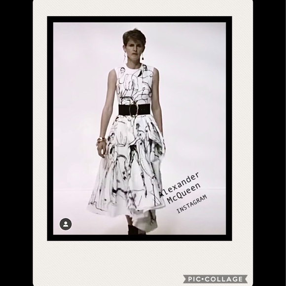 Meet your Posher, Riley - Picture 16 of 16